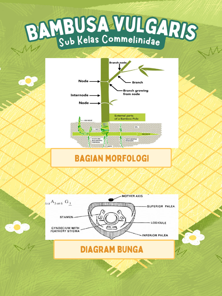 Dokumen Dari Rifana Lemba | PDF