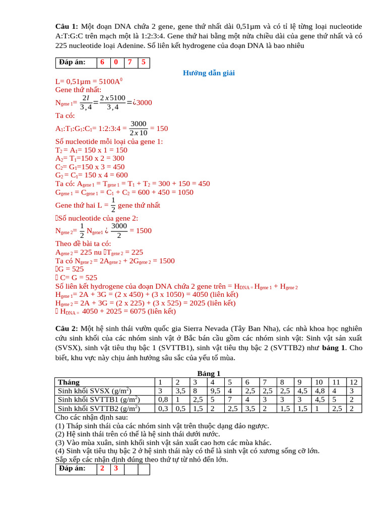 BT Sinh 12.3 | PDF