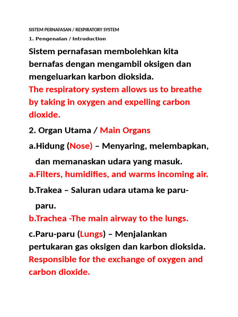 Sistem Pernafasan | PDF