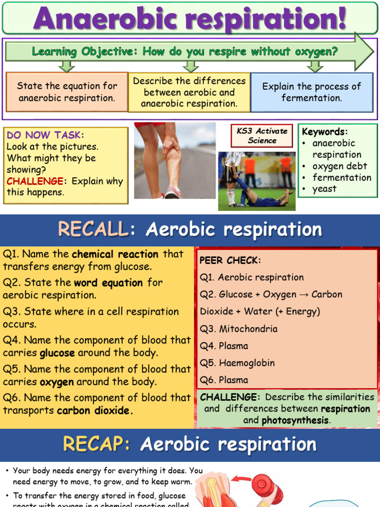 Anaerobic Respiration PPT-1 | PDF | Cellular Respiration | Fermentation