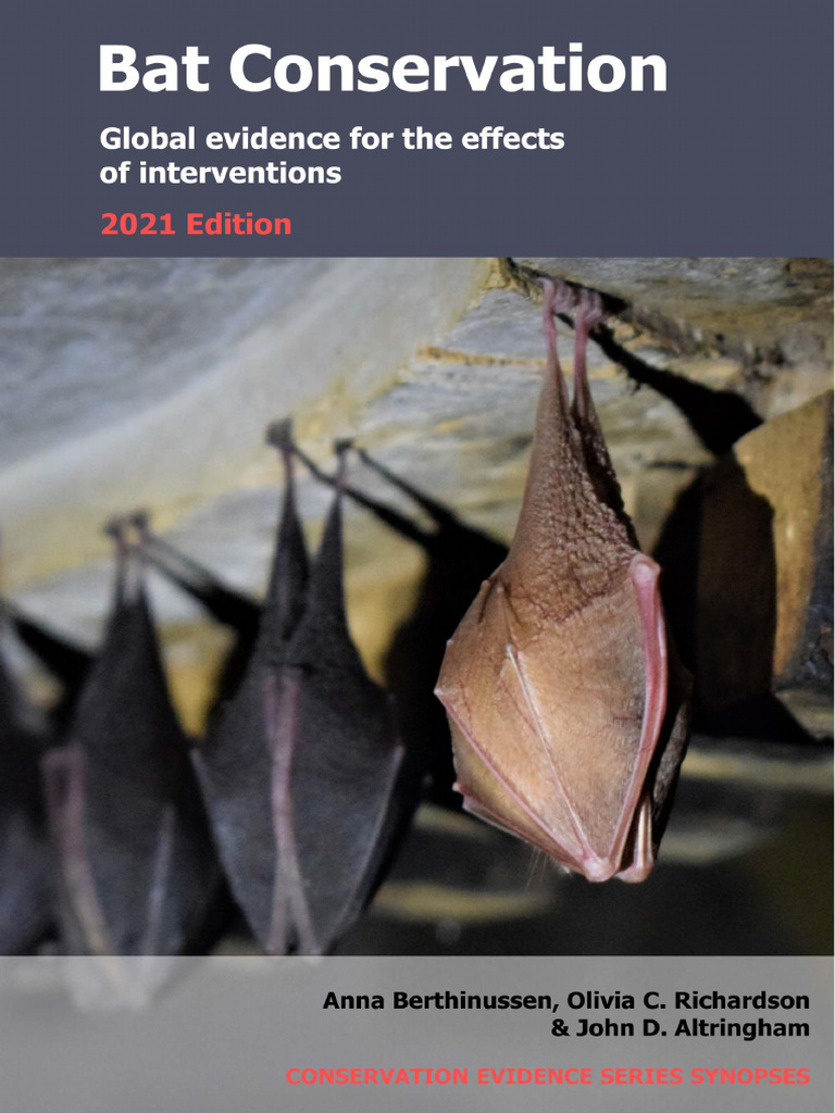 Bat Conservation Synopsis 2021 Edition (Berthinussen Et Al., 2021 ...