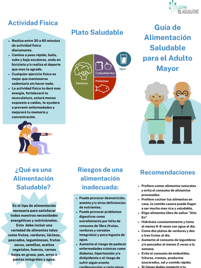 Guía de Alimentación para Adultos Mayores | PDF | Alimentos | Fruta