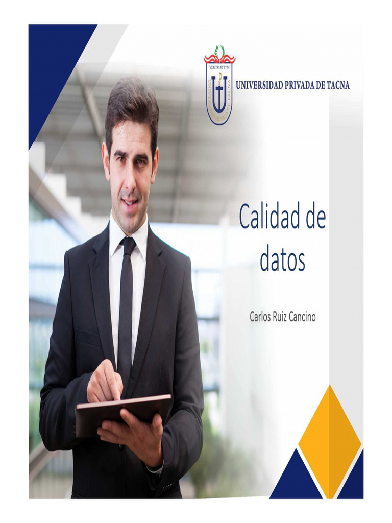 Importancia de la Calidad de Datos | PDF
