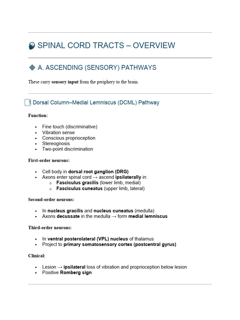 Spinal Cord Tracts Overview | PDF | Spinal Cord | Human Anatomy