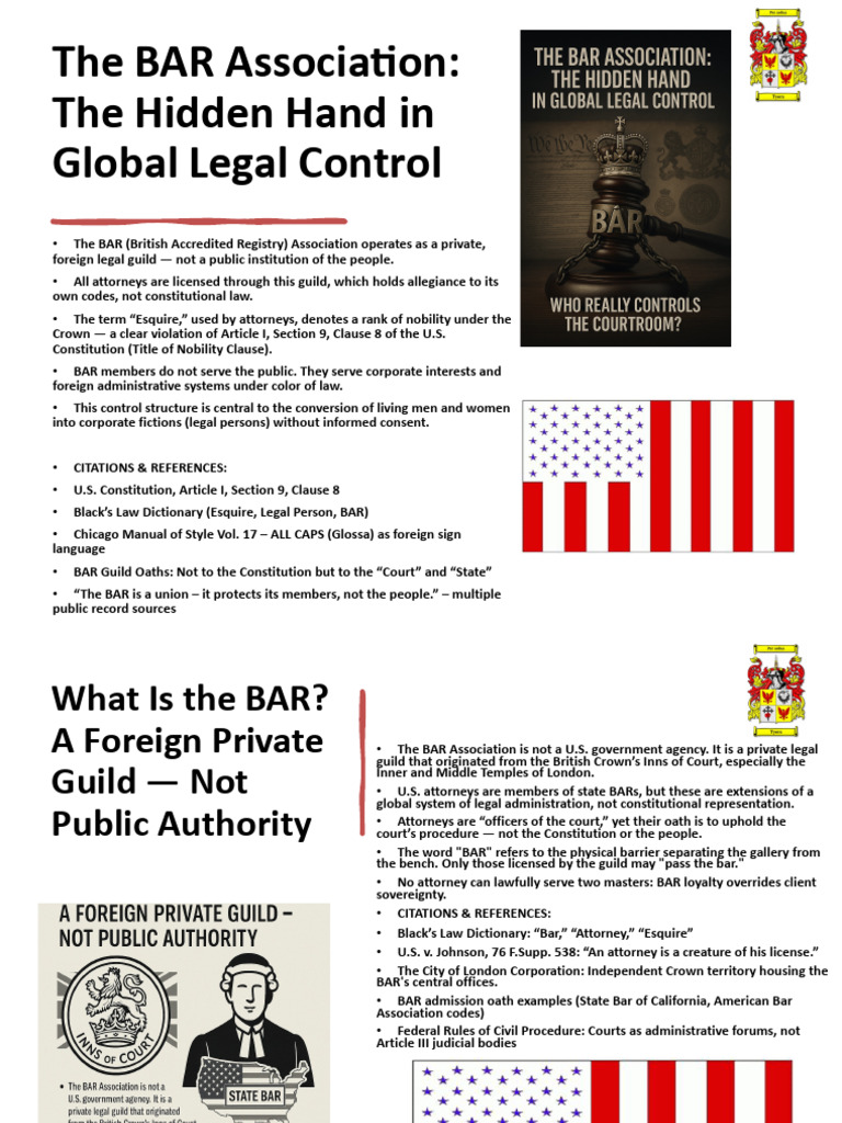 BAR Association: A Global Legal Guild | PDF | Lawyer | Federal Rules Of ...