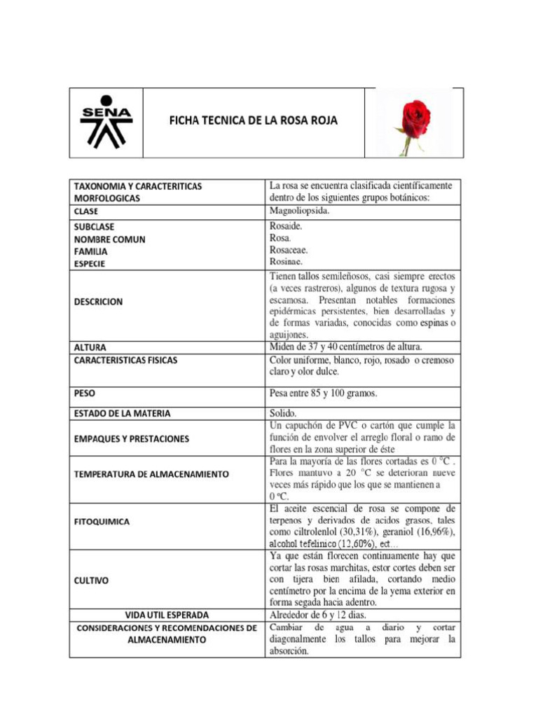 Ficha Técnica Rosa | PDF