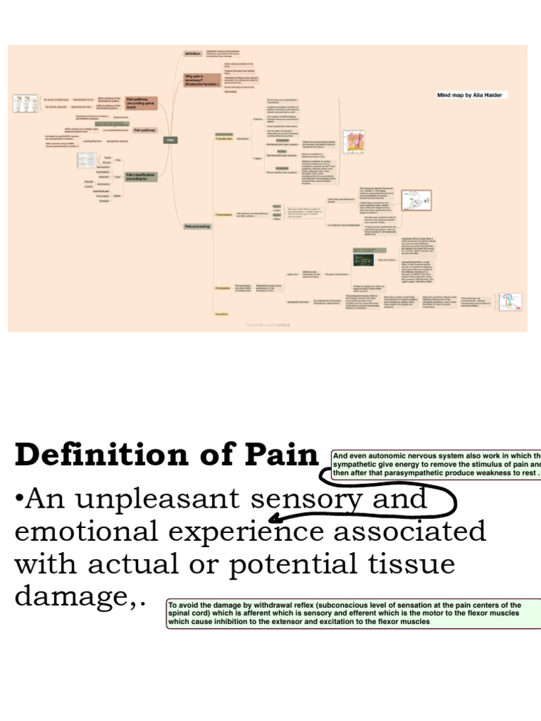 Pain Pathways and Receptor Functions | PDF | Pain | Stimulus (Physiology)