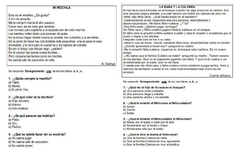 Comprension Lectora 3° Básico | PDF