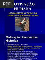 Palestra Motivacao Humana