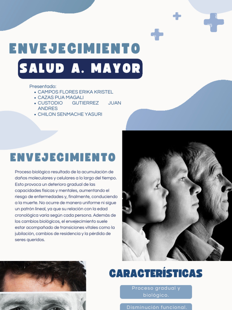 Salud y Envejecimiento en Adultos Mayores | PDF | Vejez | Envejecimiento