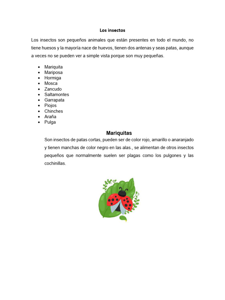 Desarrollo Del Tema Clase 5 J Los Insectos | PDF