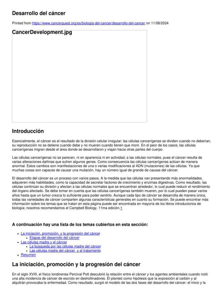 Cancer Development | PDF | Cáncer | Neoplasias