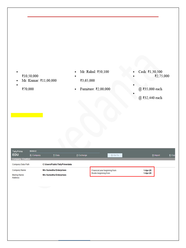 Update Opening Balances in TallyPrime | PDF | Business | Financial ...