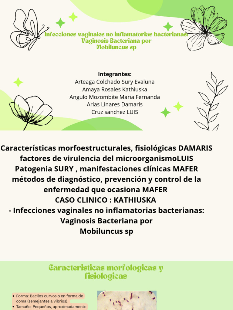 Vaginosis Bacteriana por Mobiluncus sp. | PDF | Las bacterias | Vagina