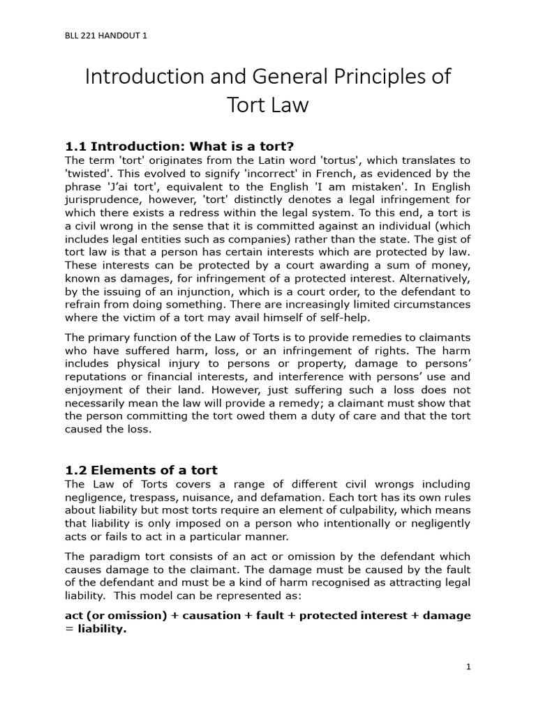 Introduction to Tort Law Principles | PDF | Tort | Legal Liability