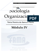 Sociologia Organizacional md4