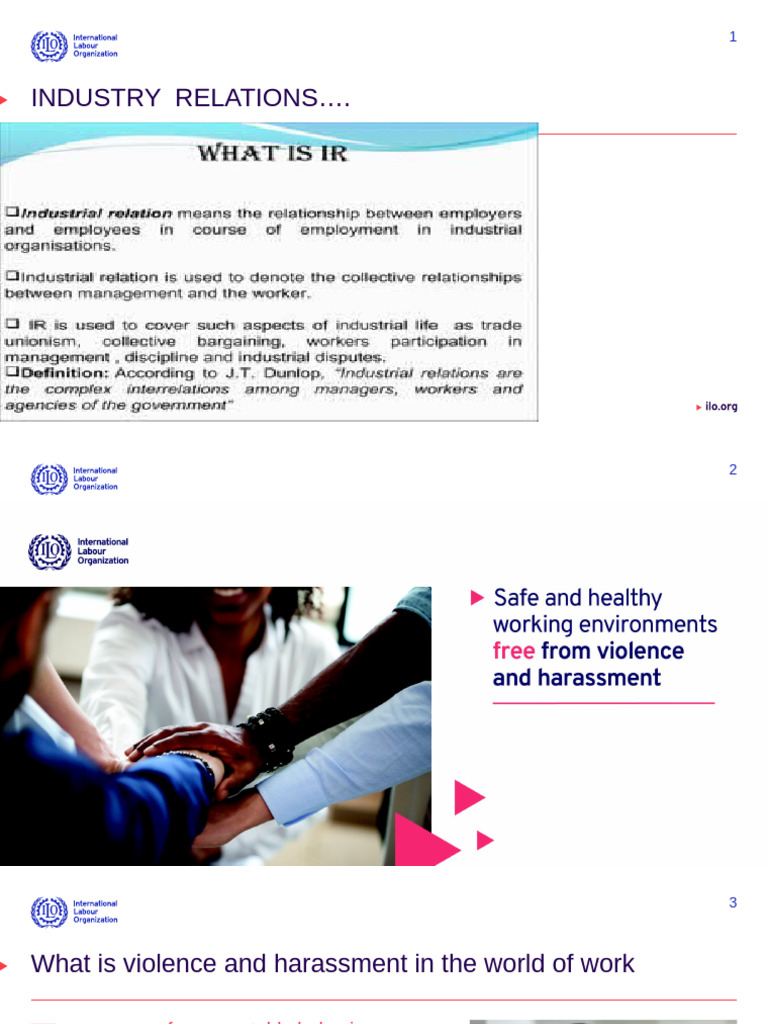 Workplace Violence and Harassment Guide | PDF | Harassment | Violence