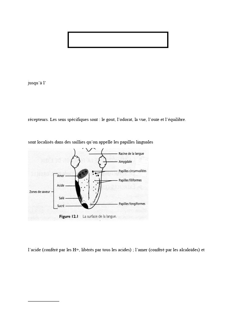 Rôles des organes de sens | PDF | Système vestibulaire | Oreille
