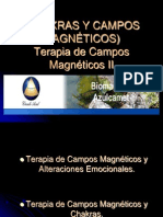 CHAKRAS y Campos Magnéticos