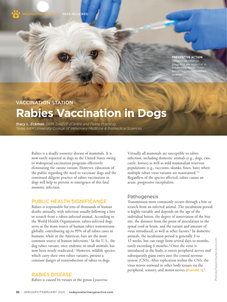TVP 2021 0102 Rabies Vaccination | PDF | Rabies | Vaccines