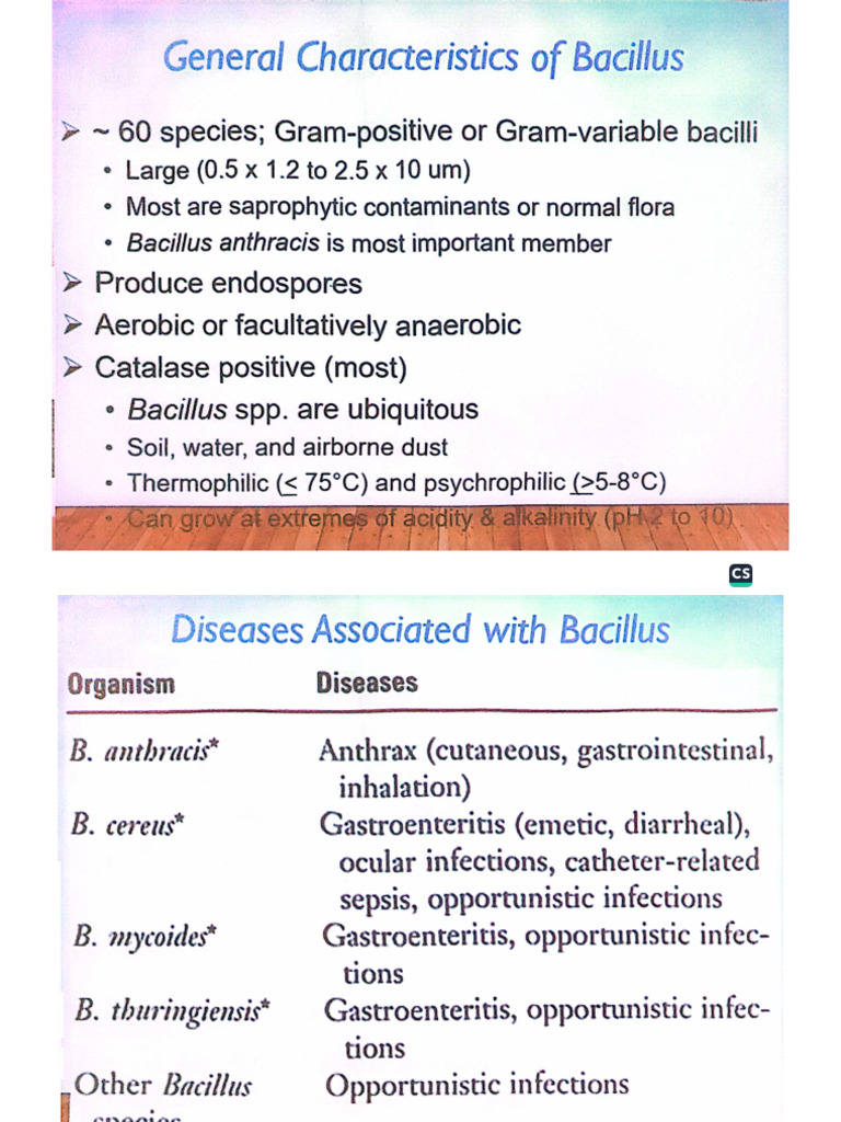 Download CamScanner App Now | PDF