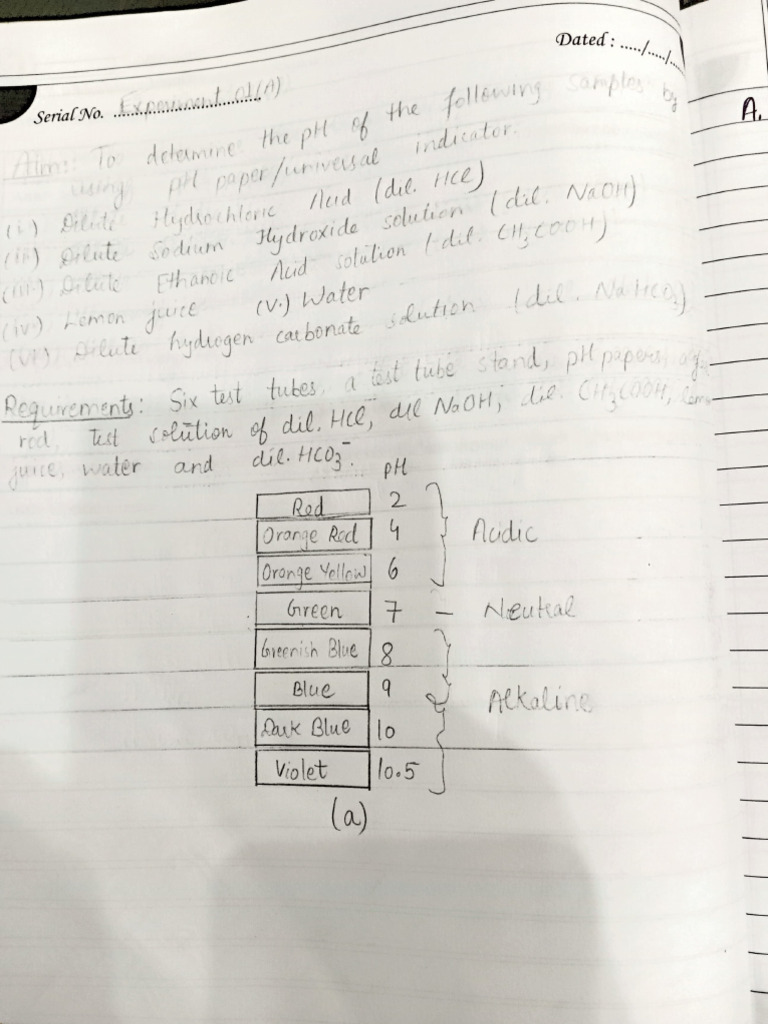 Science Practical File | PDF
