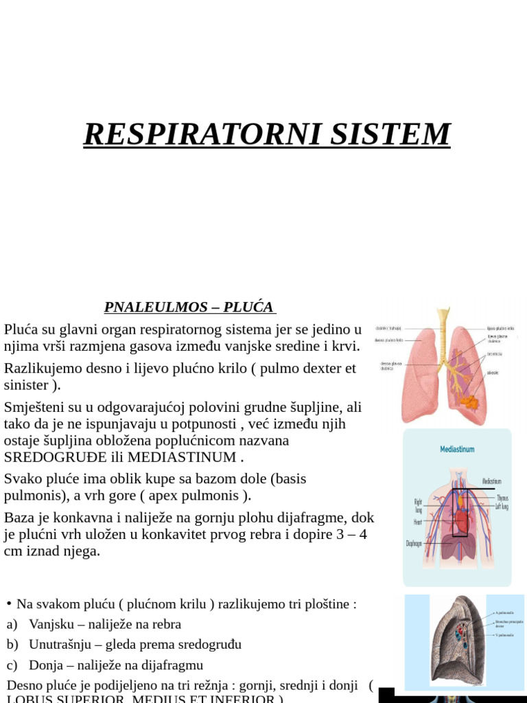 2respiratorni Sistem | PDF