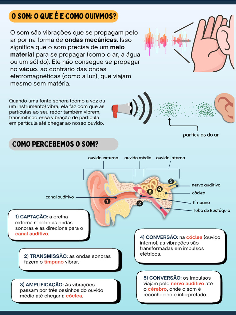 O Que É o Som e Suas Características | PDF | Som | Orelha