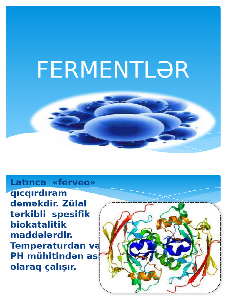 Fermentlər PDF | PDF