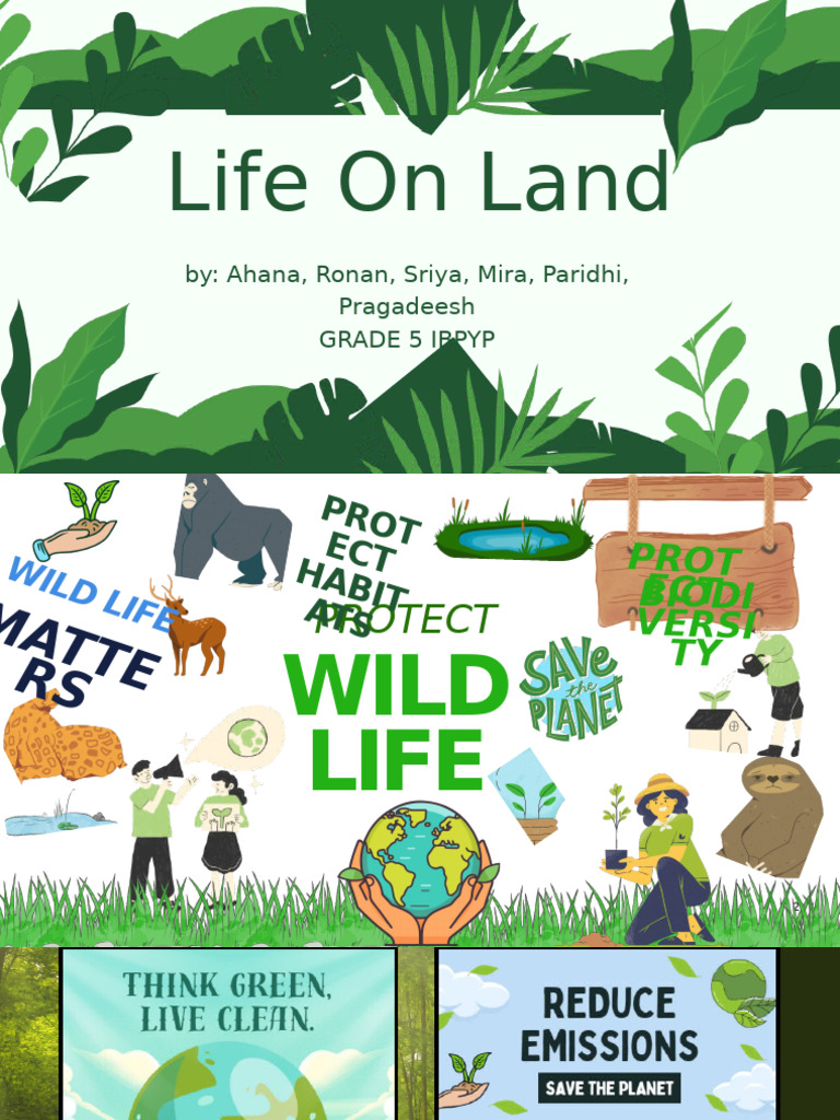 Protecting Biodiversity and Wildlife | PDF