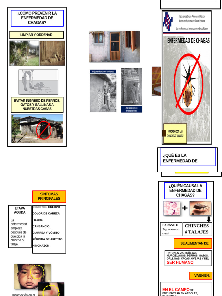 Triptico Chagas | PDF