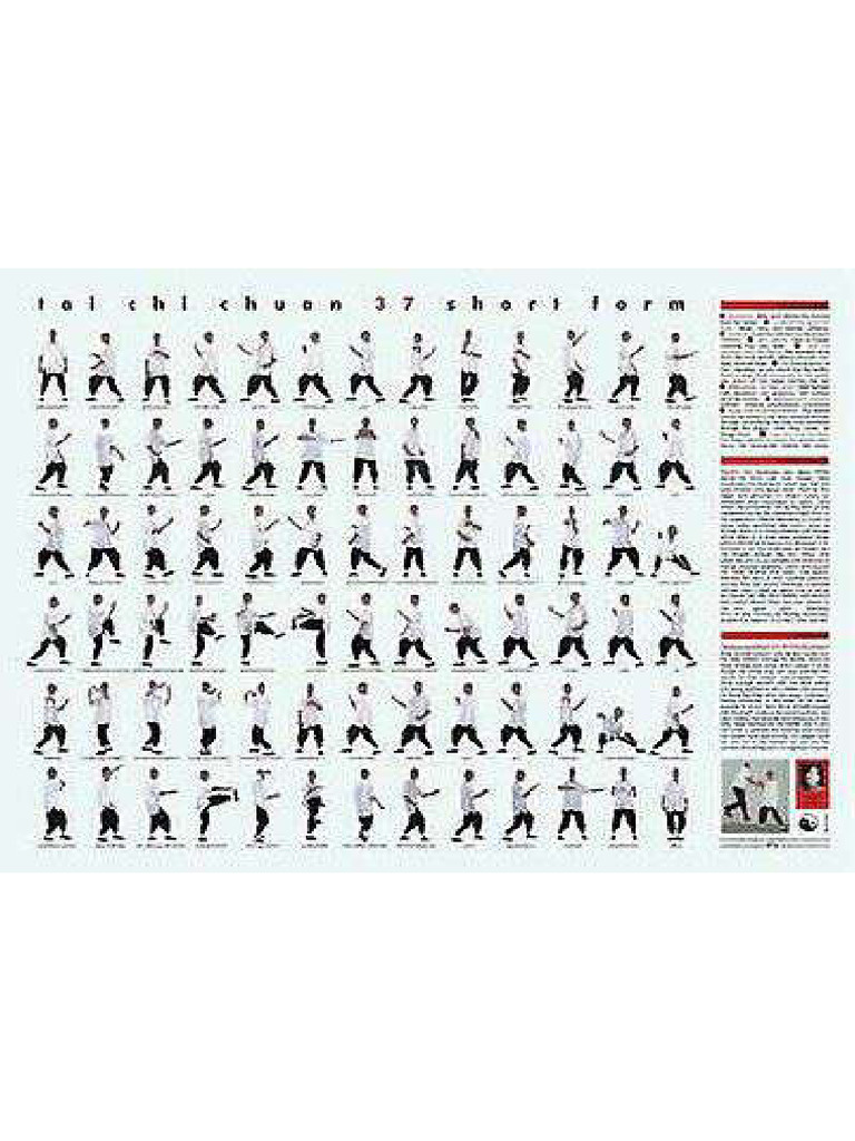 Tai Chi | PDF