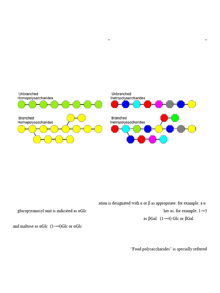 Understanding Polysaccharides and Their Uses | PDF | Polysaccharide ...