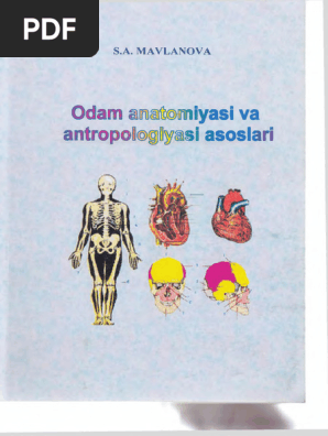 Jinsiy olatni organish