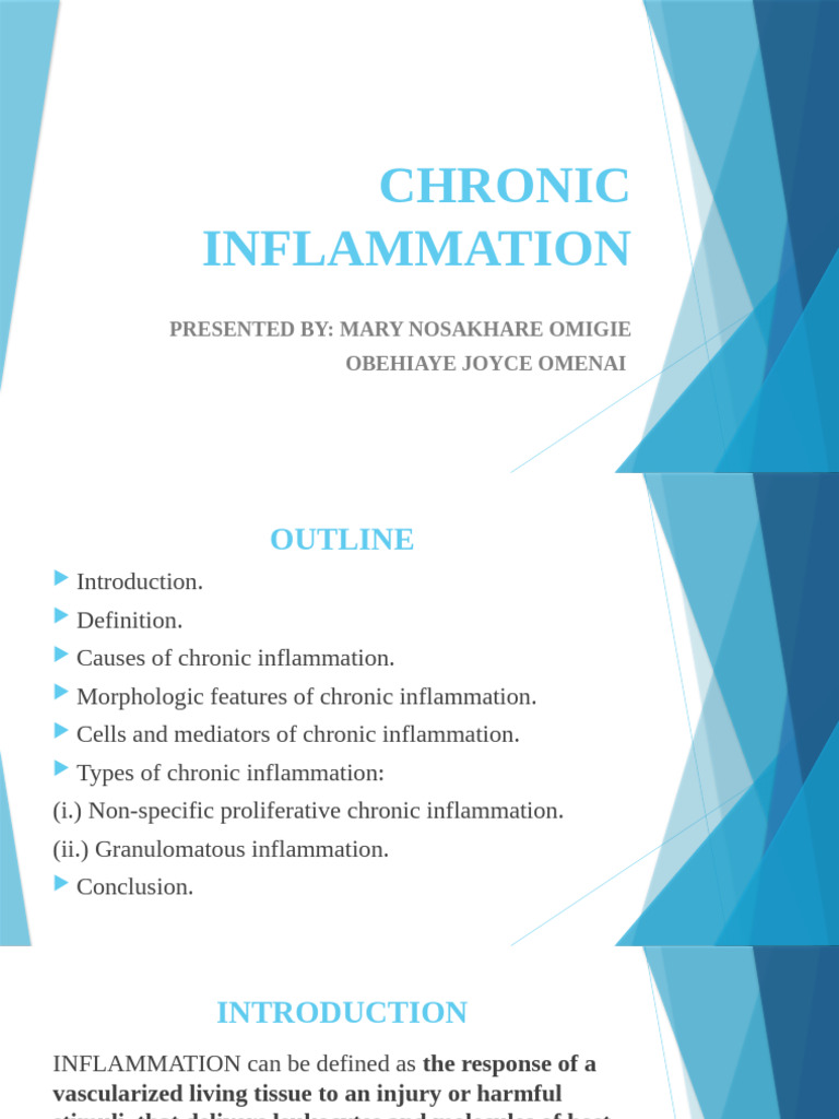 Chronic Inflammation Presentation Man Pdf Inflammation Macrophage