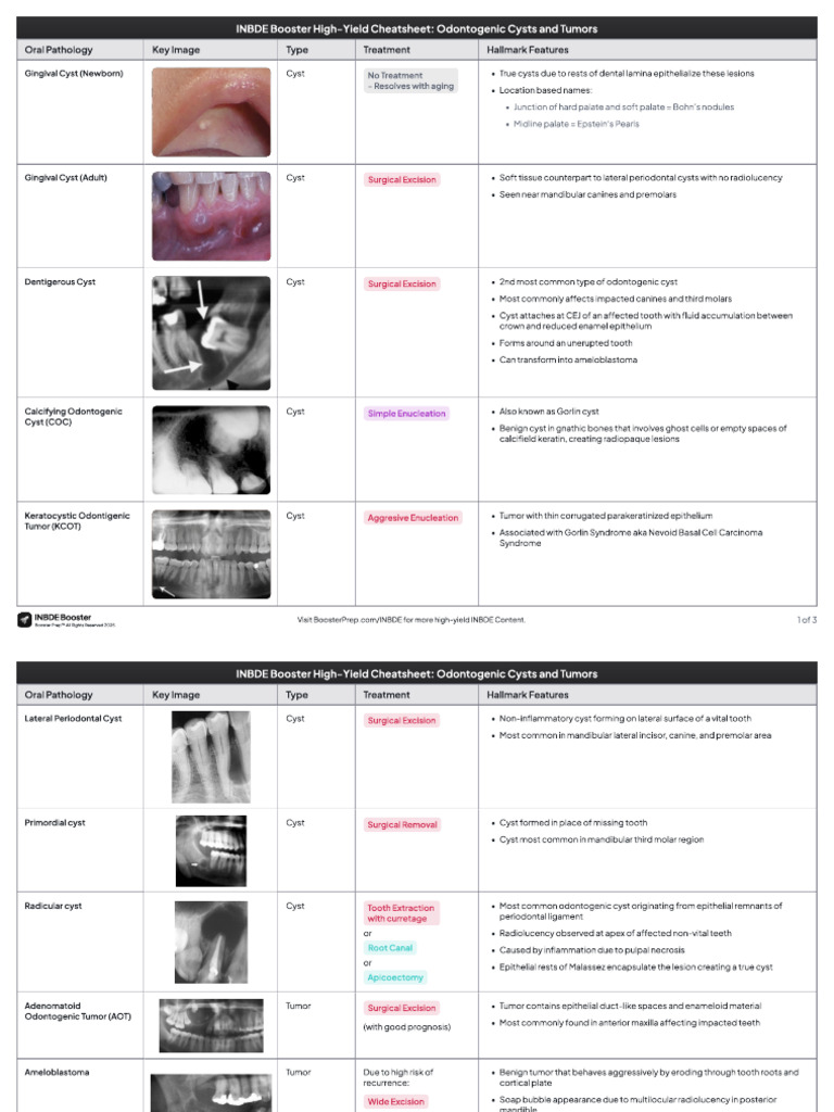High-Yield Guide to Odontogenic Cysts | PDF | Diseases And Disorders ...