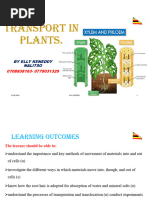 Uneb s4 Uce 2025 Biology Paper 1 With Answers | PDF | Leaf | Plant Stem