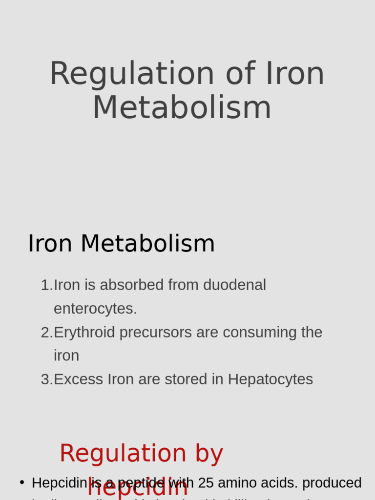 Iron Metabolism Regulation Overview | PDF | Iron | Blood