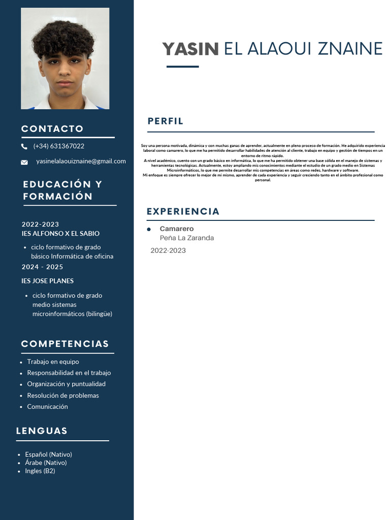 Blue Simple Professional CV Resume 2 | PDF