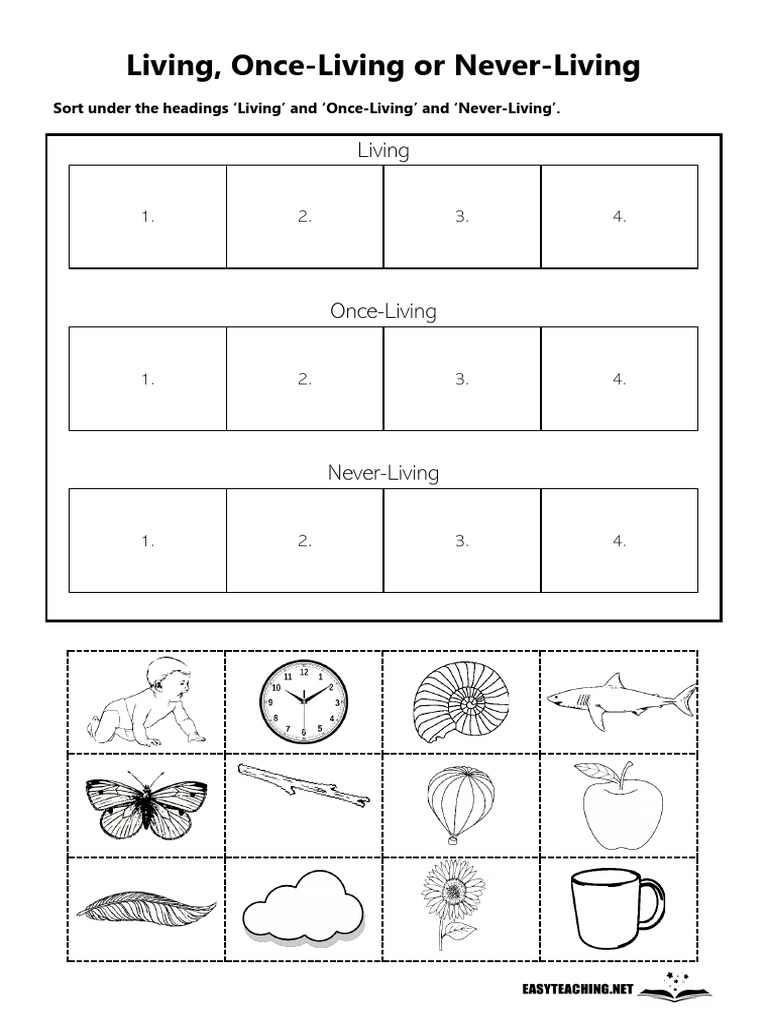 Living Non Living Once Living Cut Paste | PDF