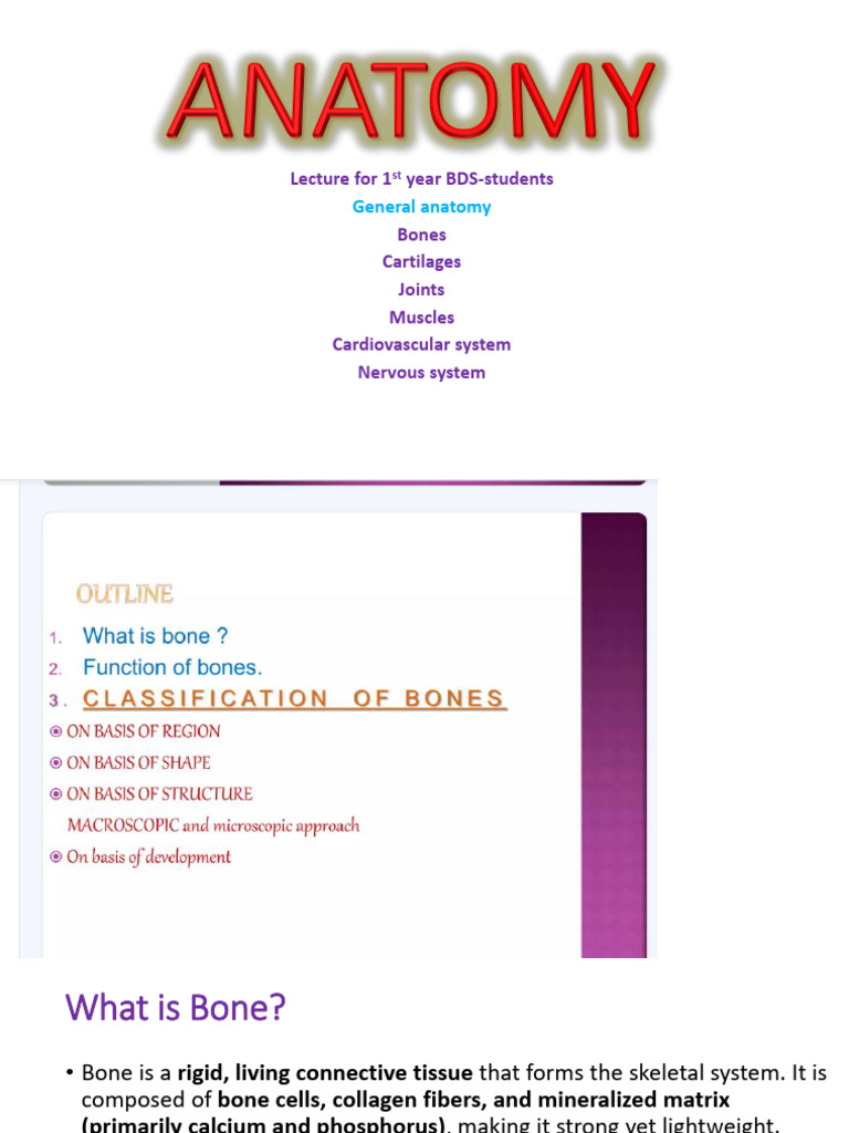 Anatomy of Bones and Joints | PDF | Cartilage | Vertebra