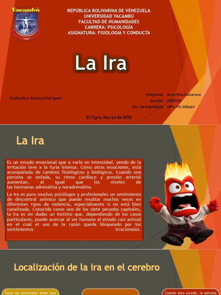 Manejo de la Ira y su Impacto Emocional | PDF | Las emociones | Ira