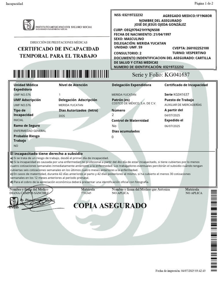 Subsidio por Incapacidad Temporal IVSS | PDF | Cuidado de la salud