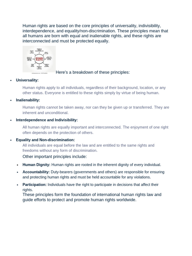Core Principles of Human Rights | PDF