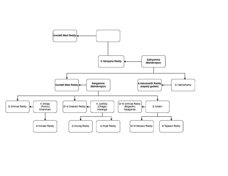 Avinash Reddy Family Tree Overview | PDF