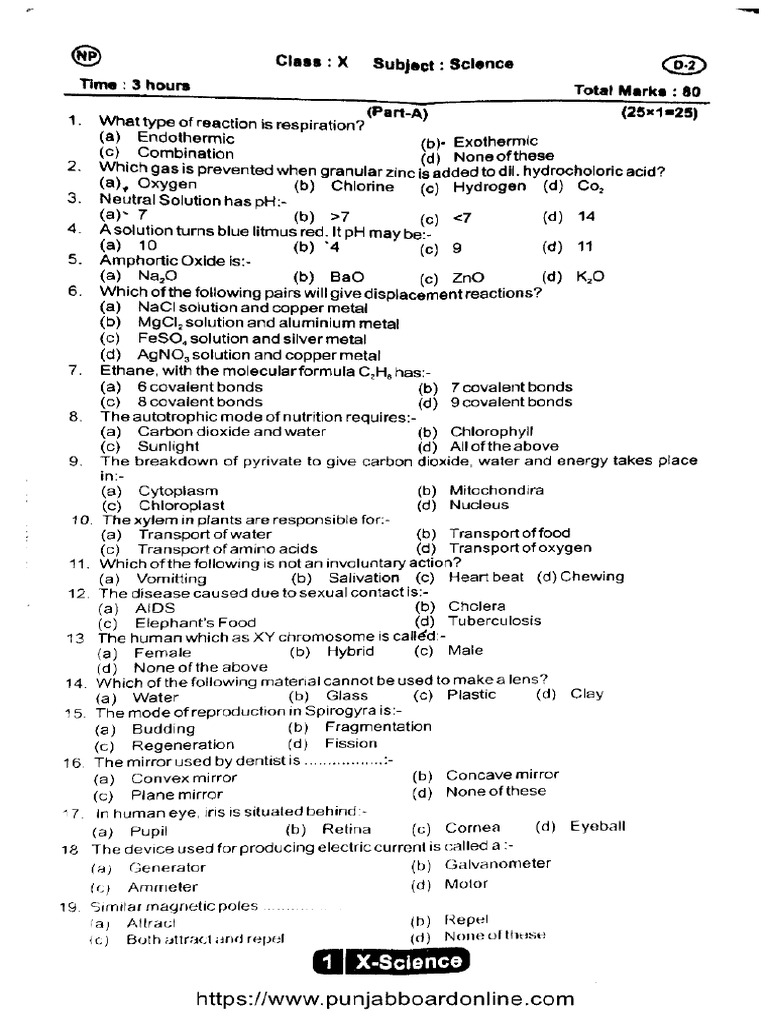 Punjab Board Class 10 PB Science 180325 2025 | PDF