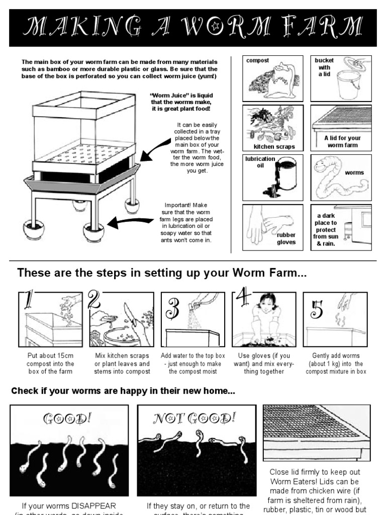 Setting Up Your Worm Farm Guide | PDF | Compost | Foods