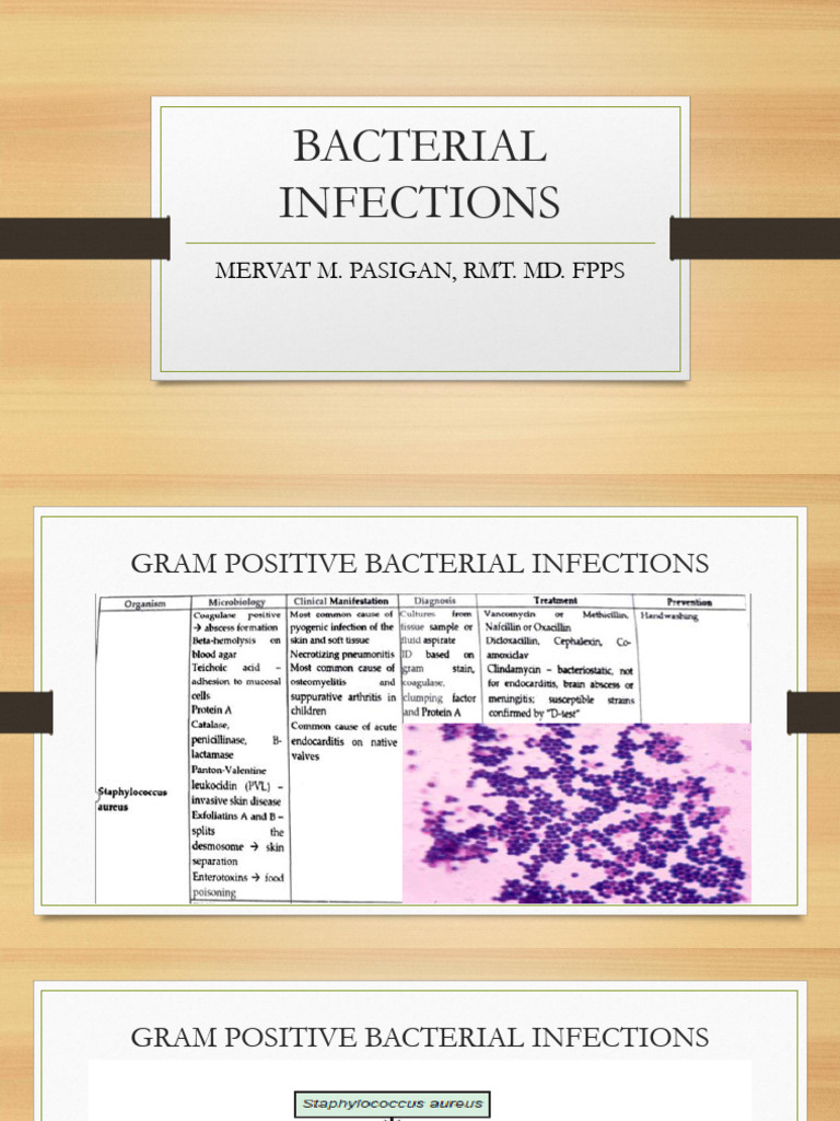 Bacterial Infections Overview | PDF | Histology | Cell Biology