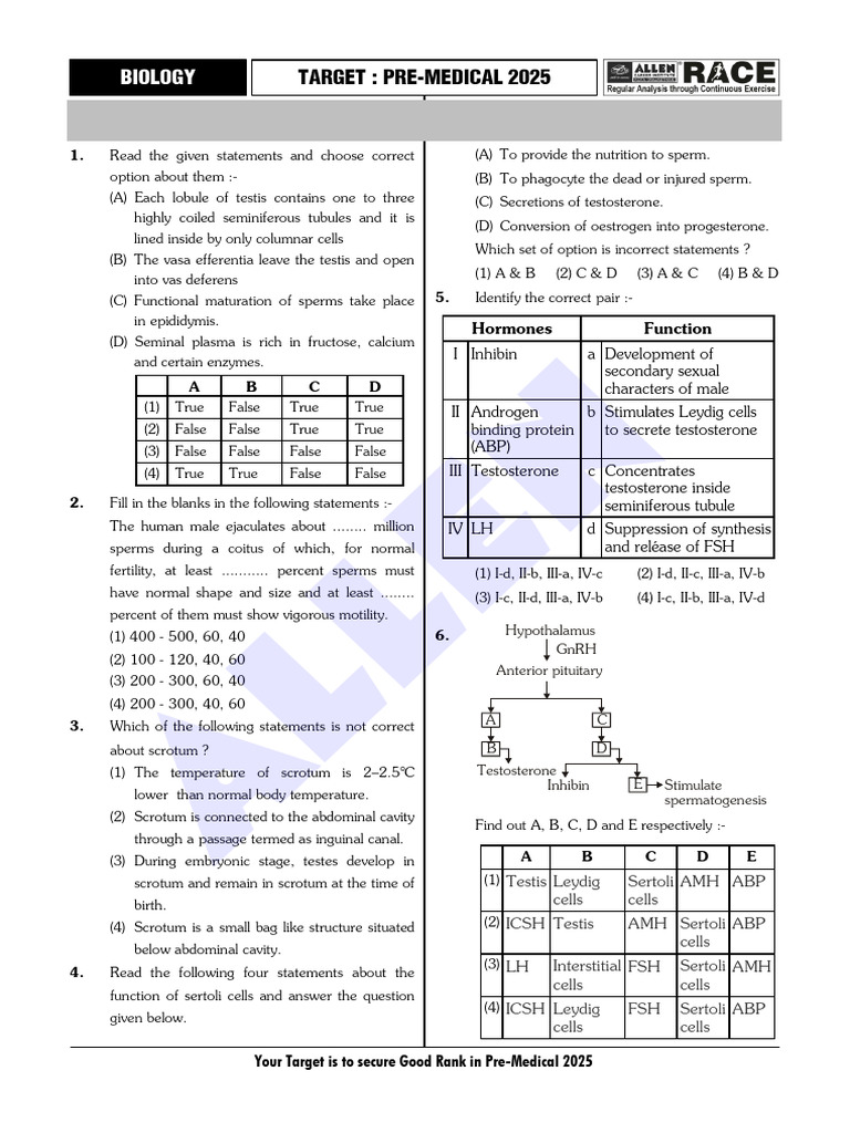 1 - Human Reproduction - Race | PDF | Menstrual Cycle | Uterus