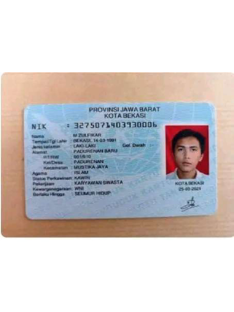 Contoh KTP | PDF
